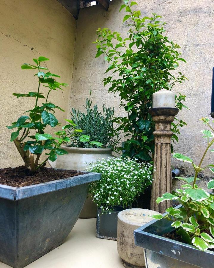 Le Jardin Wilson Apartamento Dijon Exterior foto