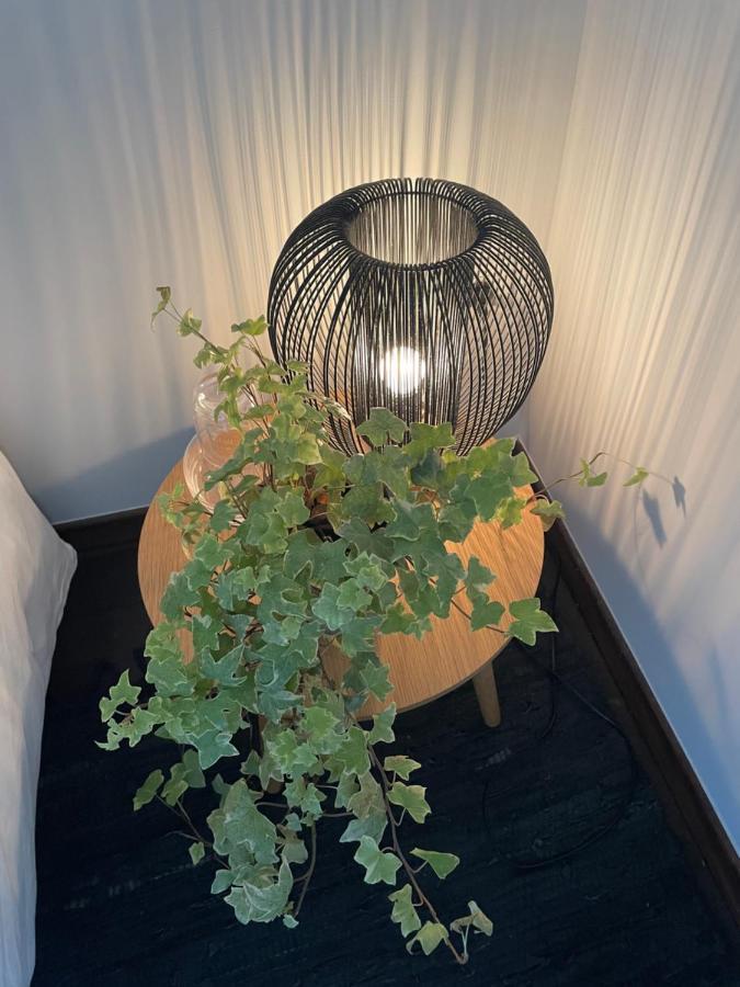 Le Jardin Wilson Apartamento Dijon Exterior foto